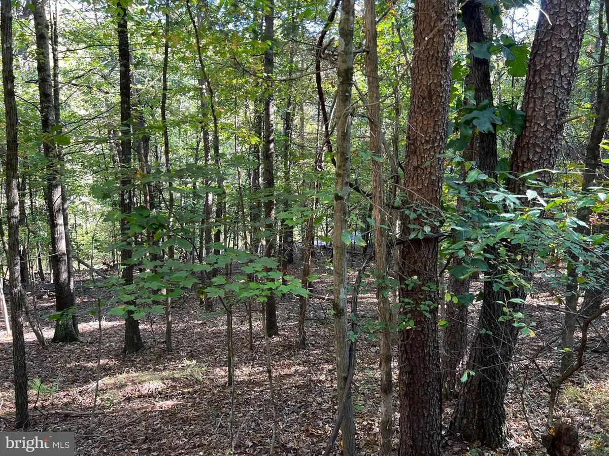 0 Hemlock St, Mount Jackson, VA 22842 - #1