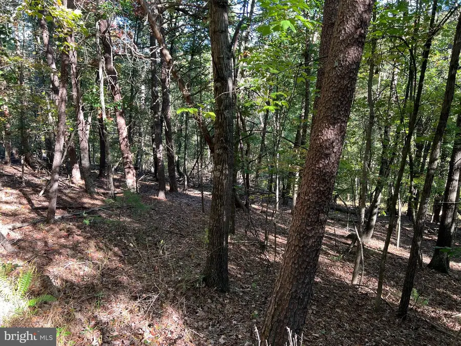 0 Hemlock St, Mount Jackson, VA 22842 - #2