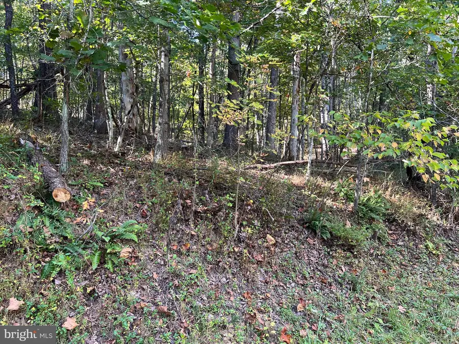 0 Hemlock St, Mount Jackson, VA 22842 - #3