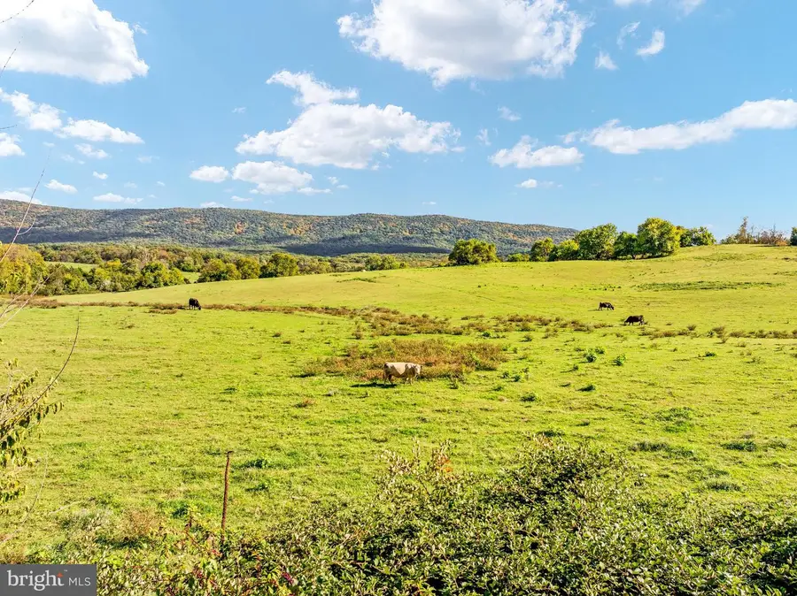 150ac Red Banks Rd, Mount Jackson, VA 22842 - #3