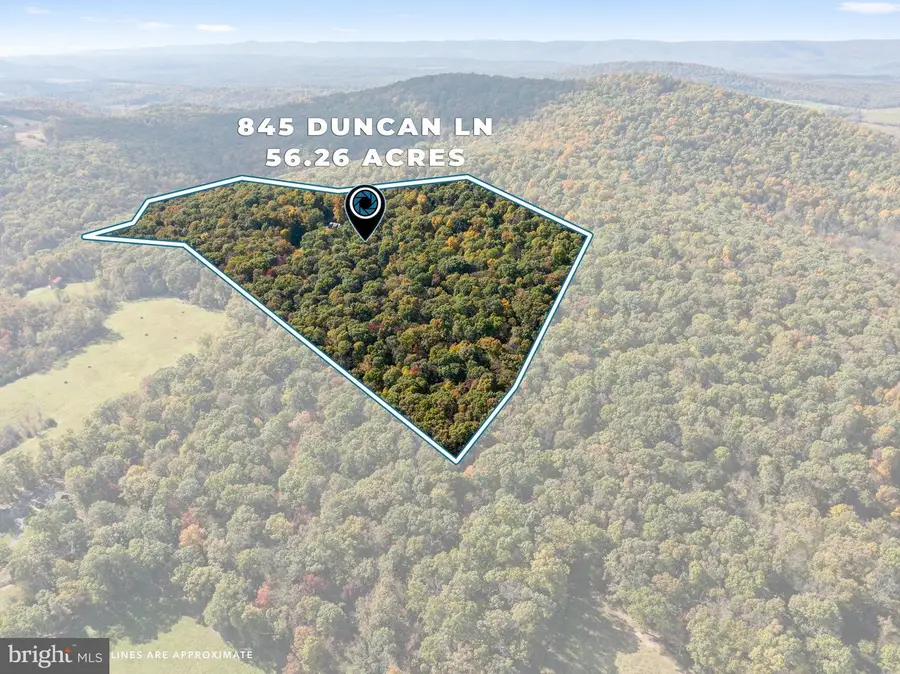 845 Duncan Ln, Mount Jackson, VA 22842 - #2