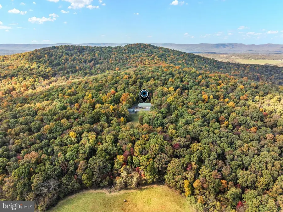 845 Duncan Ln, Mount Jackson, VA 22842 - #3
