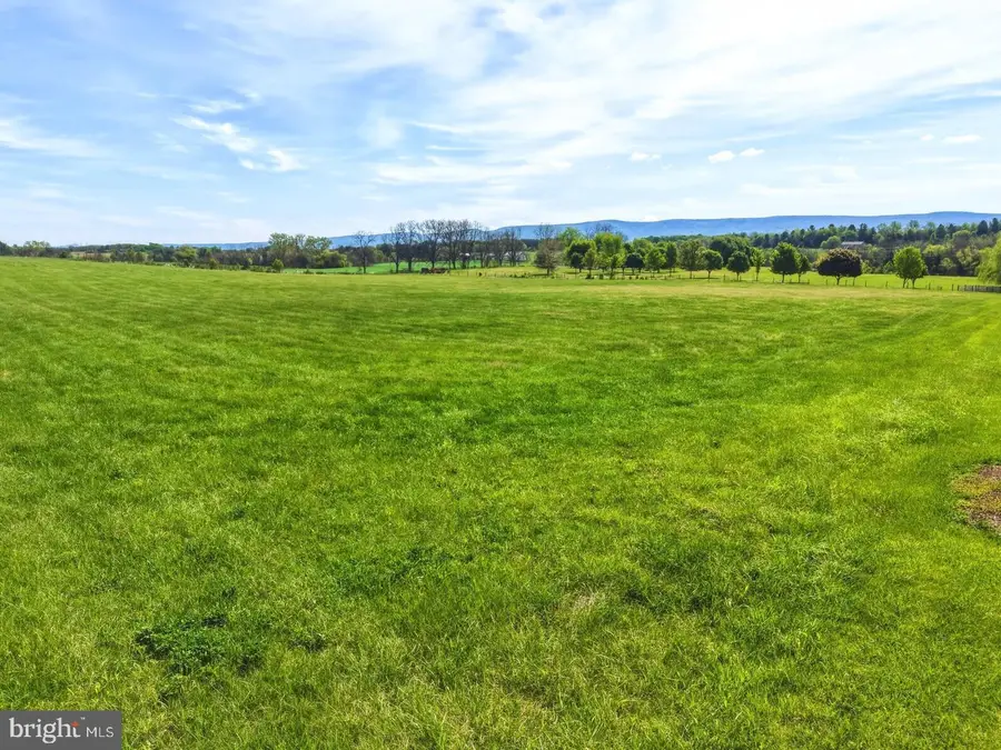 0 Bauserman Rd, Mount Jackson, VA 22842 - #3