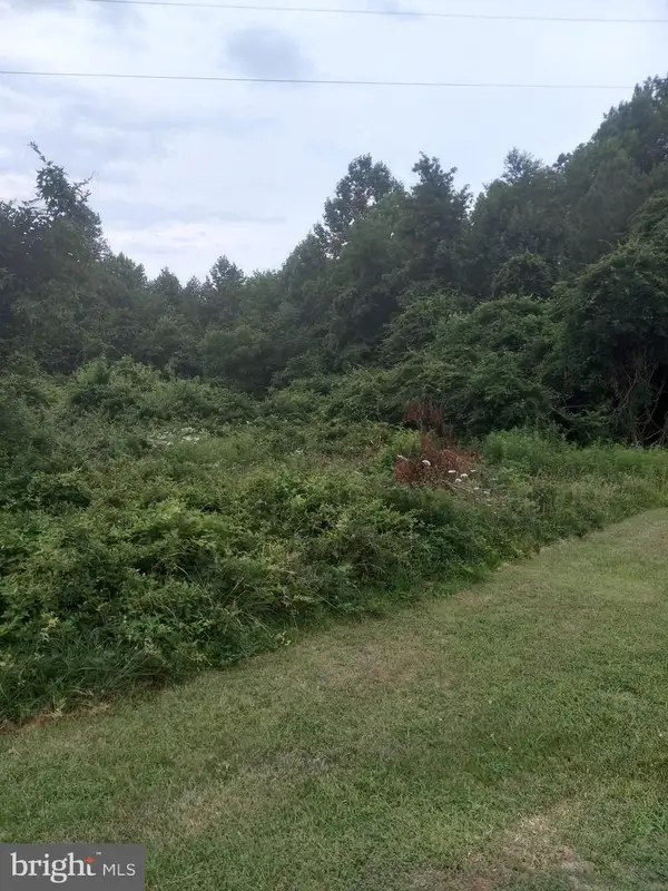 0 Lewis Estates Lane - Lot 4, SPOTSYLVANIA, VA 22551