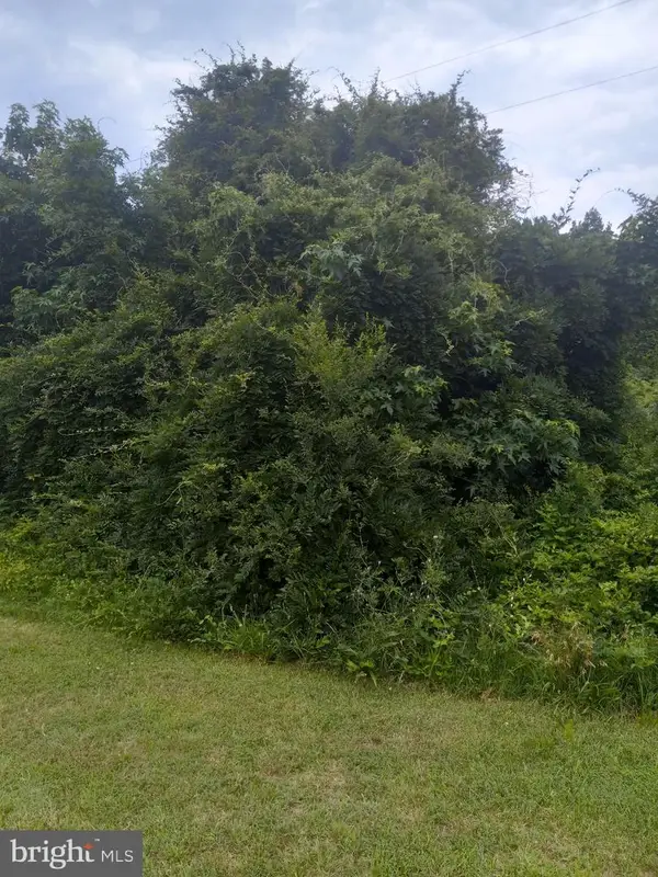 0 Lewis Estates Lane - Lot 5, SPOTSYLVANIA, VA 22551
