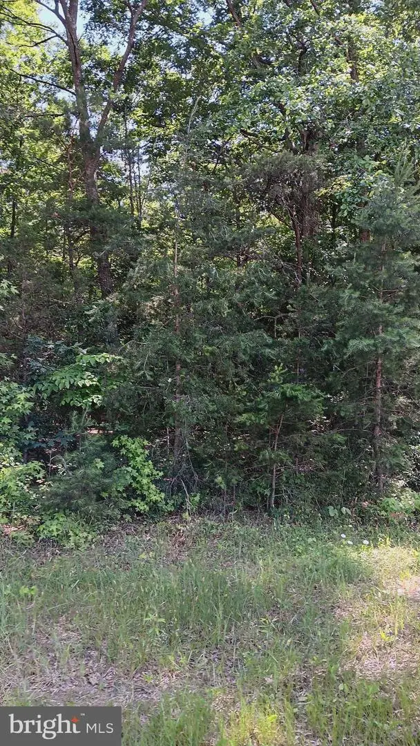 Massaponax Church Road, Berkeley, VA 22407 - Image #2