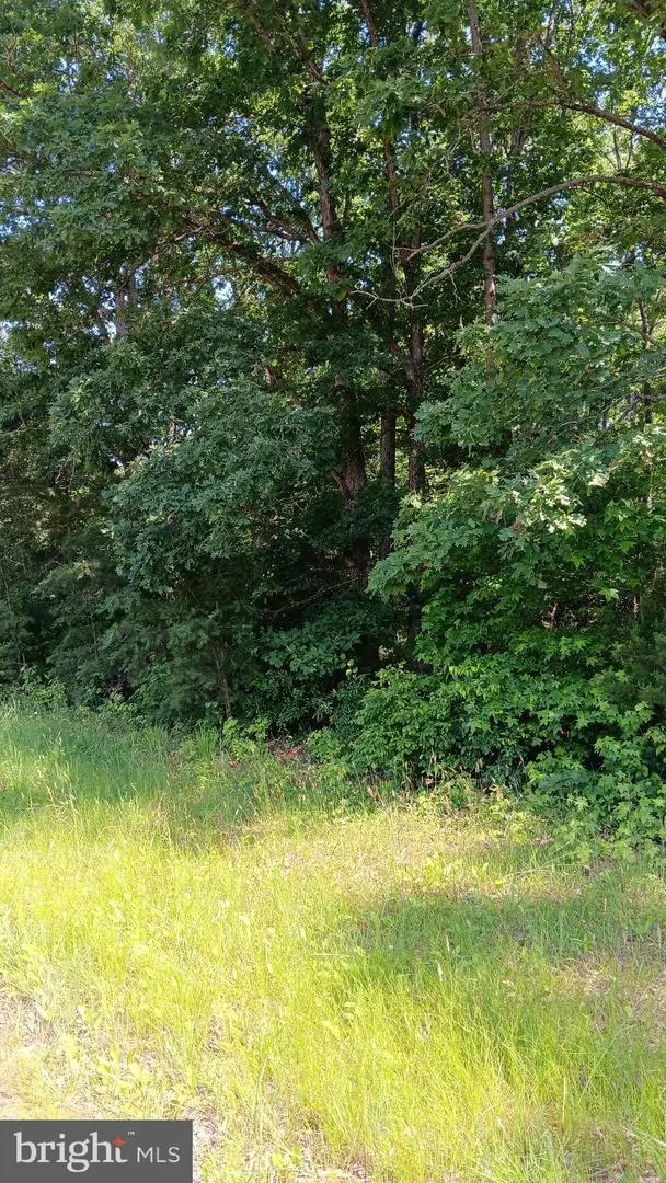 Massaponax Church Road, Berkeley, VA 22407 - Image #3