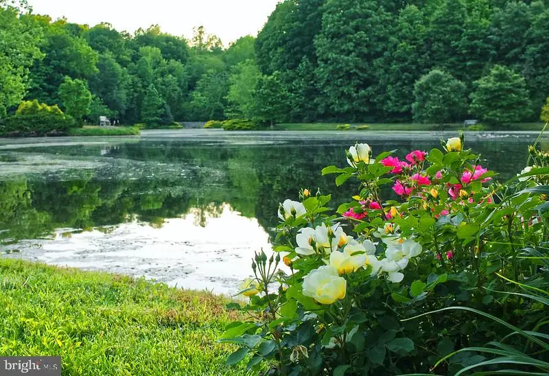 7017 Morris Rd, Spotsylvania, VA 22551 - Image #2