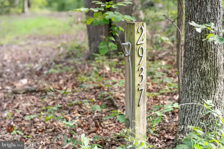 2937 Blount Dr, Bumpass, VA 23024 - Image #3