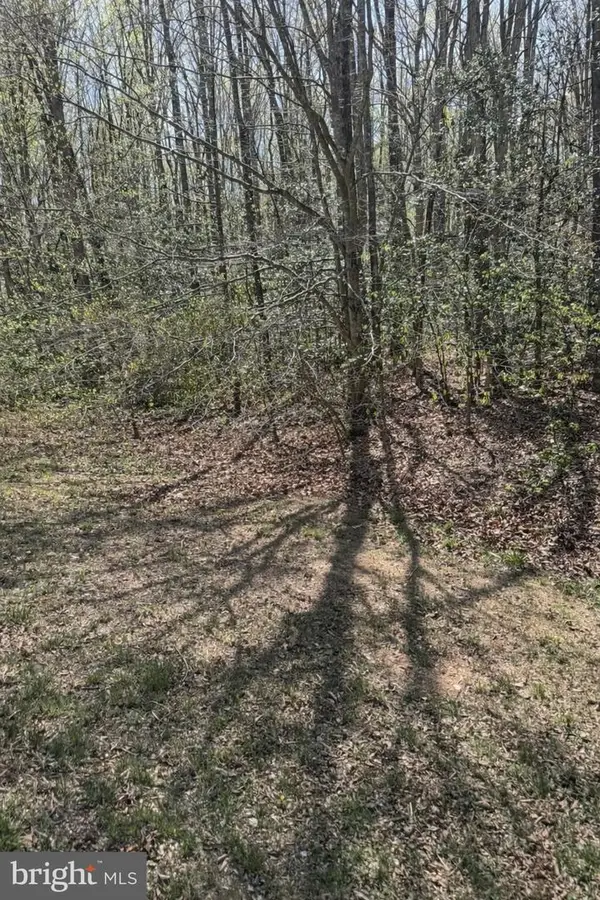 8839 Old Block House Ln, SPOTSYLVANIA, VA 22551