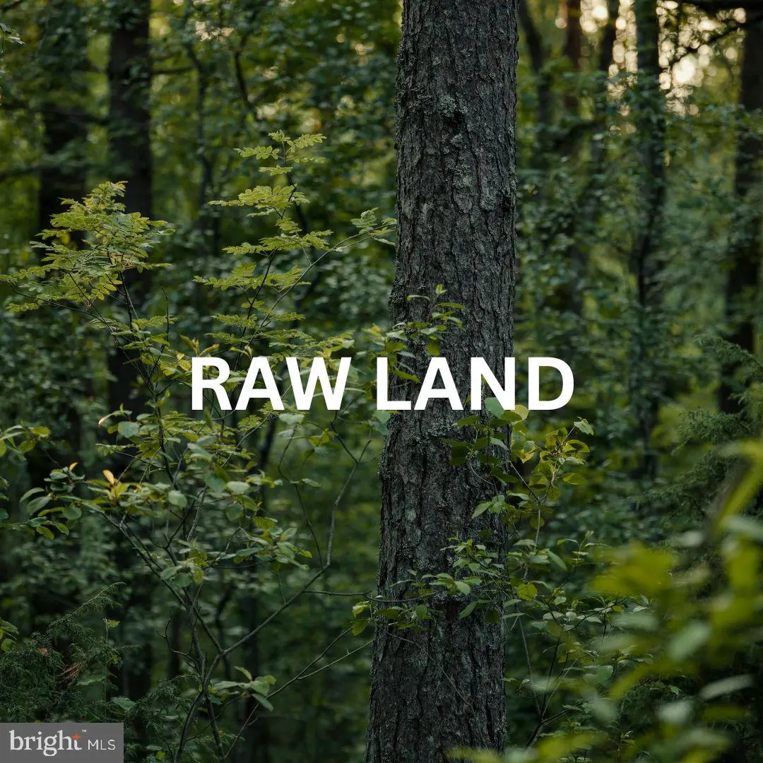 6202 Bills Rd, Mineral, VA 23117 - #1