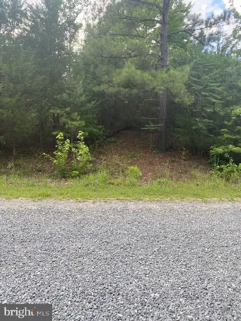 13815 Anna Woods Ct, Spotsylvania, VA 22551 - #3