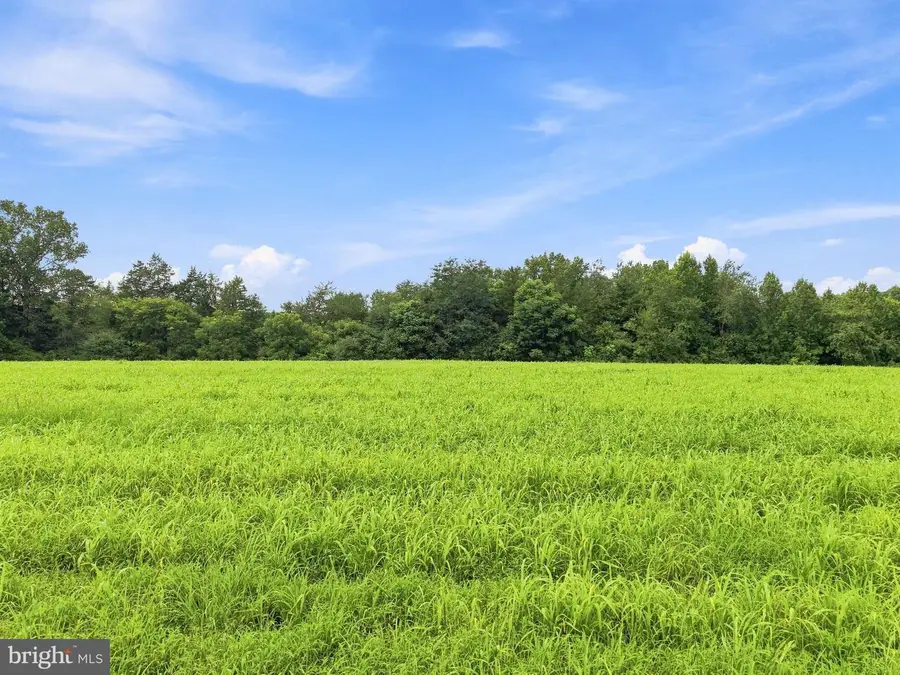 Grand Brooks Rd, Spotsylvania, VA 22553 - #3