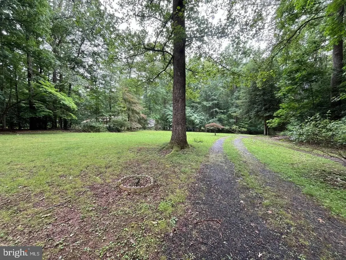 9809 Peppertree Rd, Spotsylvania, VA 22553 - #1