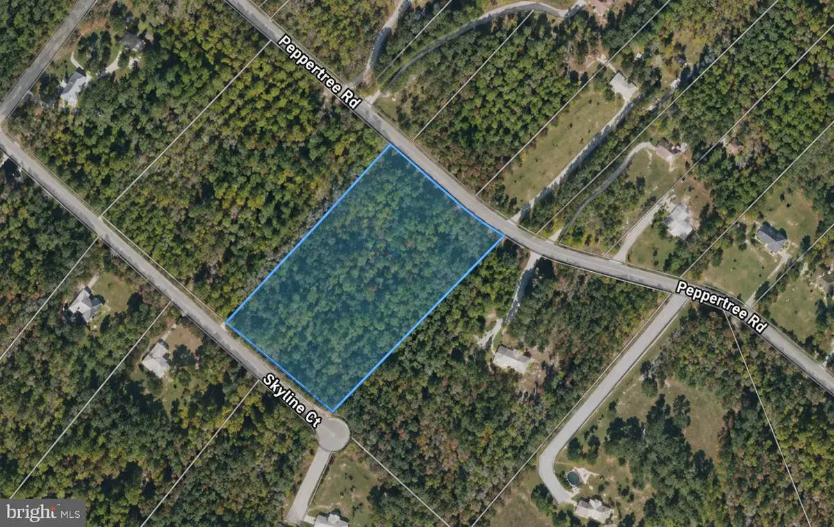Peppertree Rd, Spotsylvania, VA 22553 - #1