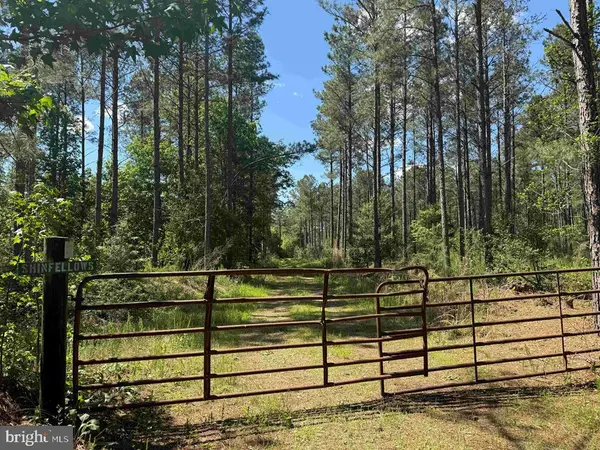 Huntington Road (tract: Surry William-sharp-1), SURRY, VA 23883