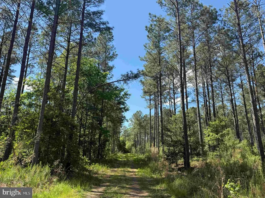 Huntington Road (tract: Surry William-sharp-1), Surry, VA 23883 - #2