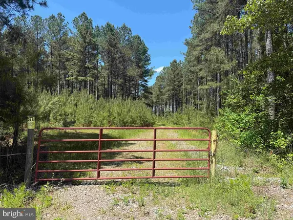 Laurel Springs Road (tract: Surry Dr. Williams-2), SURRY, VA 23883