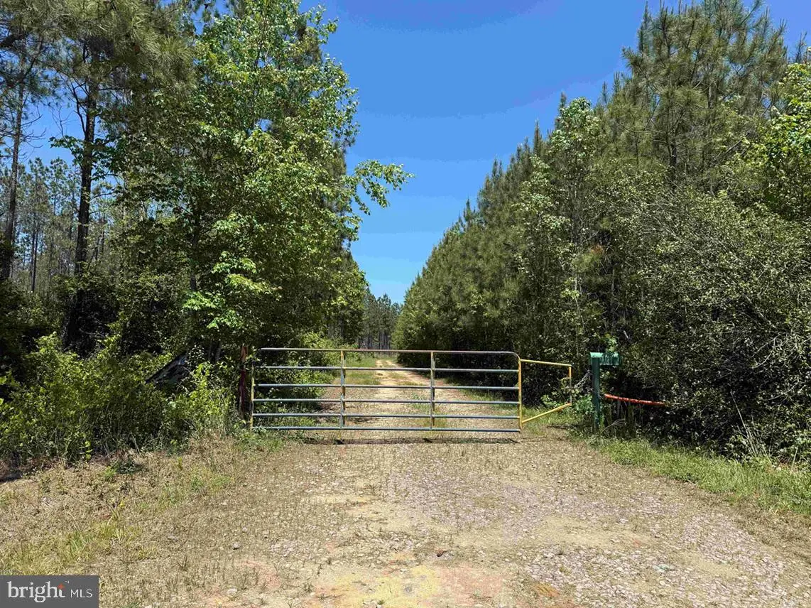 Laurel Springs Road (tract: Dr. Williams-1), Surry, VA 23883 - #1