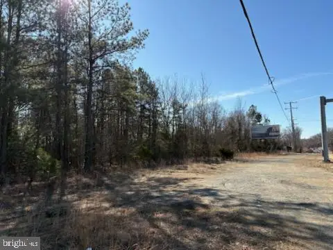 778 Cambridge St, Fredericksburg, VA 22405 - Image #3