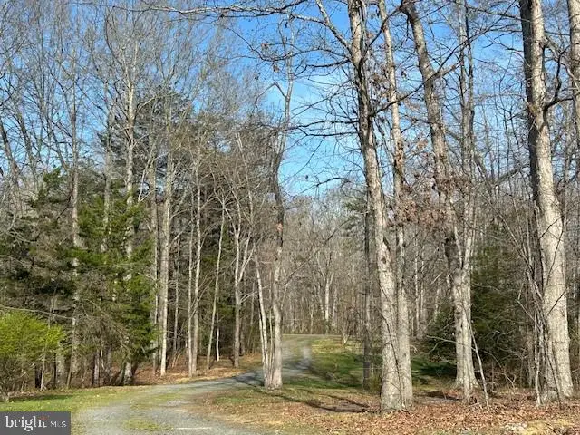 135 Cropp Rd, Fredericksburg, VA 22406 - #1