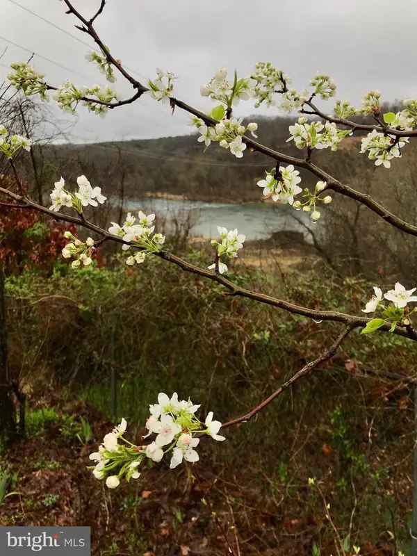 104 Blaisdell Ln, FREDERICKSBURG, VA 22405