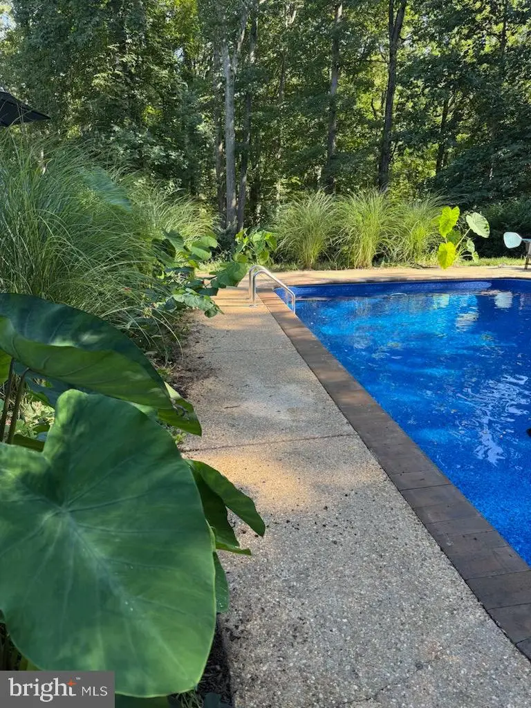 208 Lake Shore Dr, Fredericksburg, VA 22405 - #1