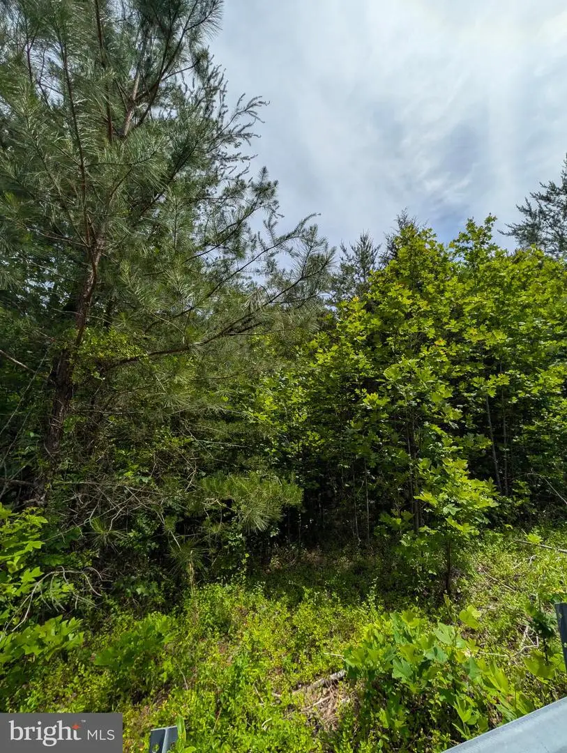 Kimberwick Lane, Stafford, VA 22554 - #3