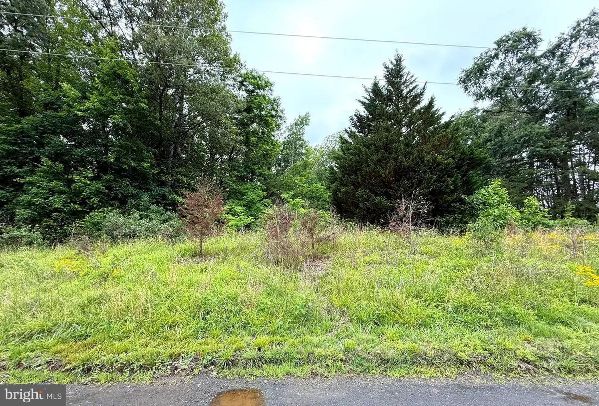 47 Delmar Ln, Fredericksburg, VA 22406 - #1