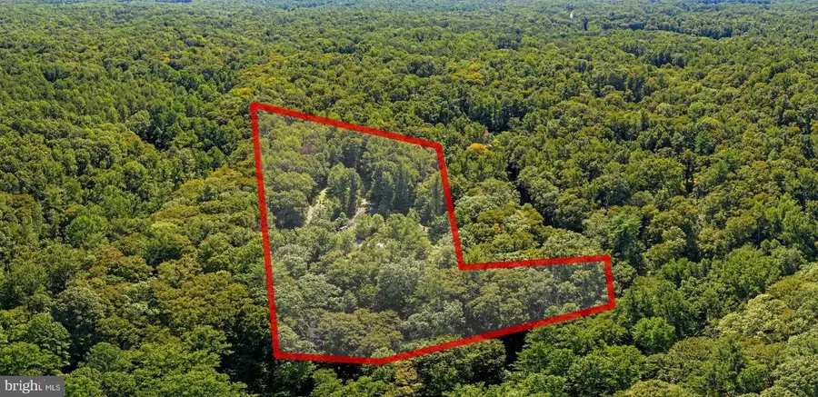 145 King Daniels Way, Fredericksburg, VA 22406 - #2