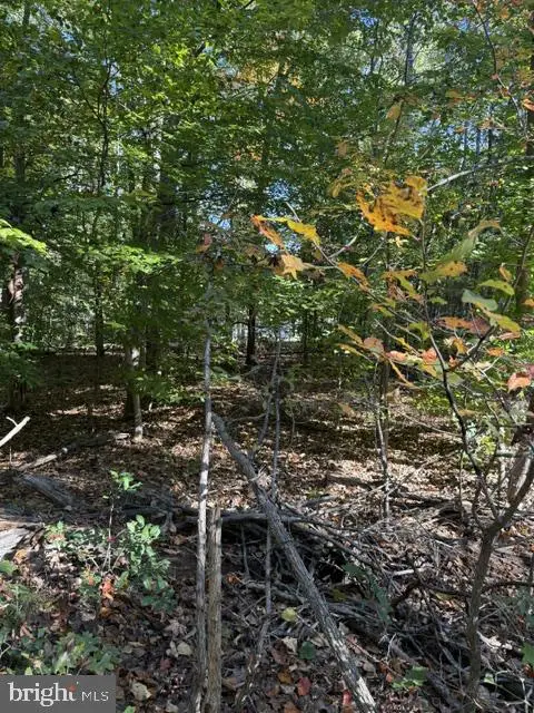 Rappahannock Dr, HARTWOOD, VA 22471