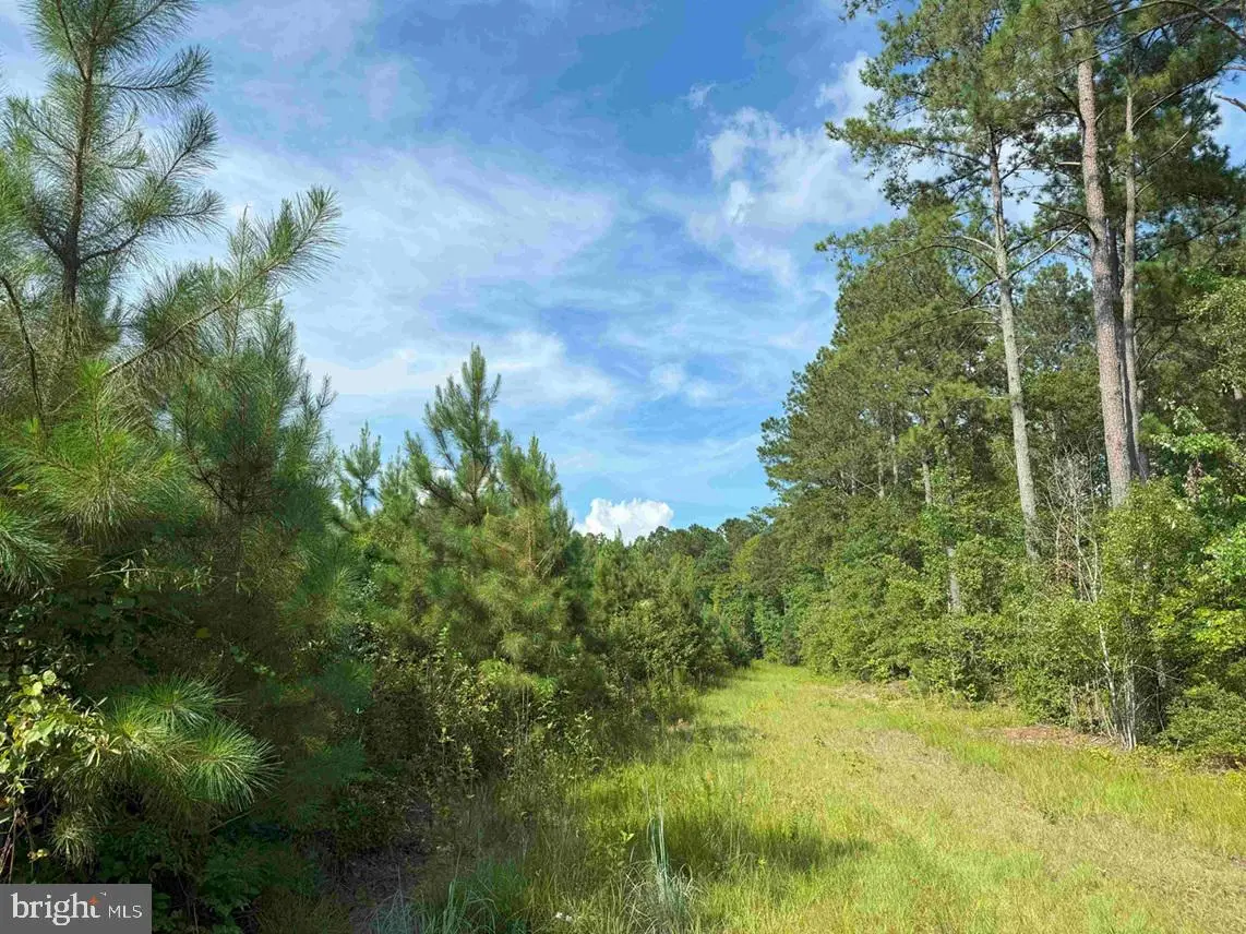 Black Creek Road (tract: Chesapeake Surry Griffin), Franklin, VA 23851 - Image #1