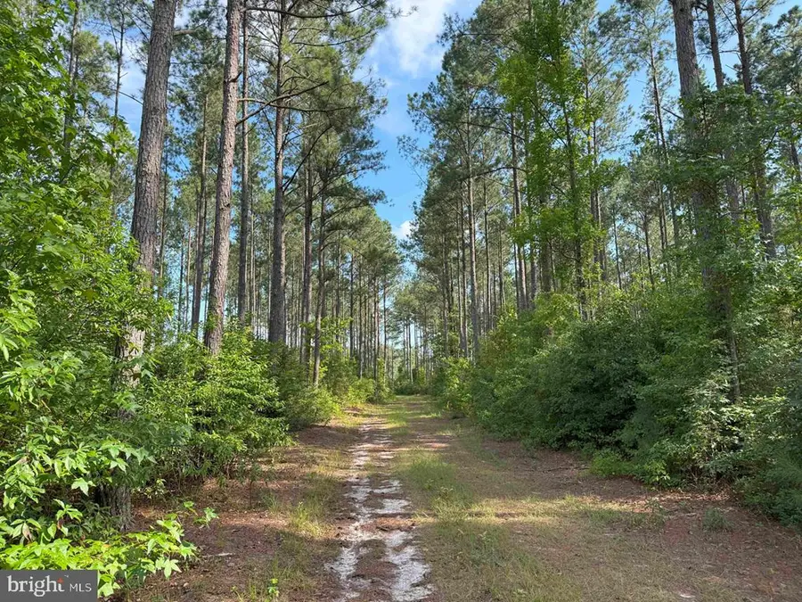 Black Creek Road (tract: Chesapeake Surry Griffin), Franklin, VA 23851 - Image #2