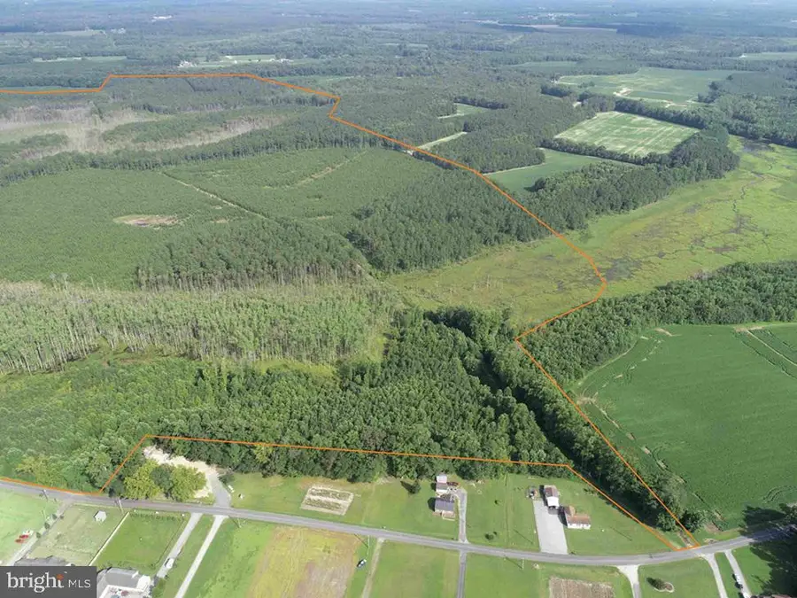 Black Creek Road (tract: Chesapeake Surry Griffin), Franklin, VA 23851 - Image #3