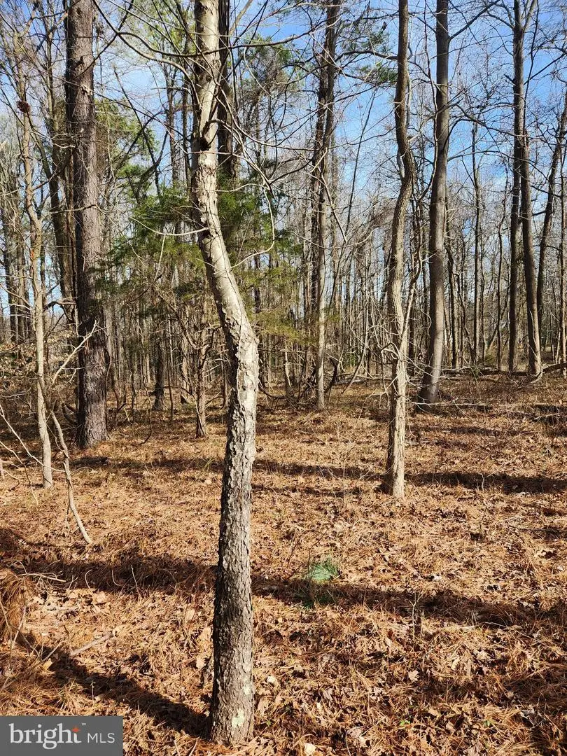 Lot 69 Plantation, Montross, VA 22520 - Image #1