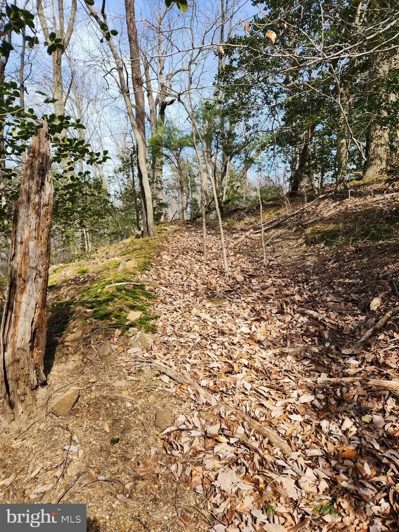 Lot 69 Plantation, Montross, VA 22520 - Image #3