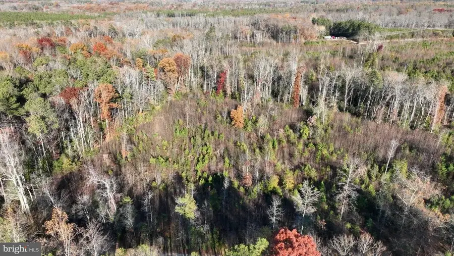 0000 Santa Cruz Road, Montross, VA 22520 - Image #2