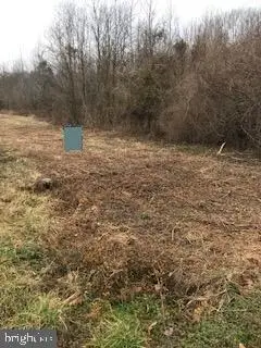 00 Prospect Hill Rd, Montross, VA 22520 - Image #2