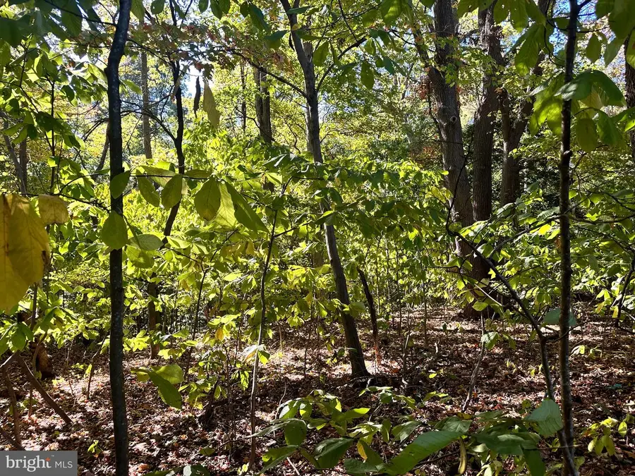 0 Independence Dr N, Montross, VA 22520 - Image #2