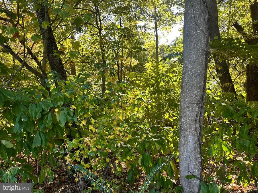 0 Independence Dr N, Montross, VA 22520 - Image #3