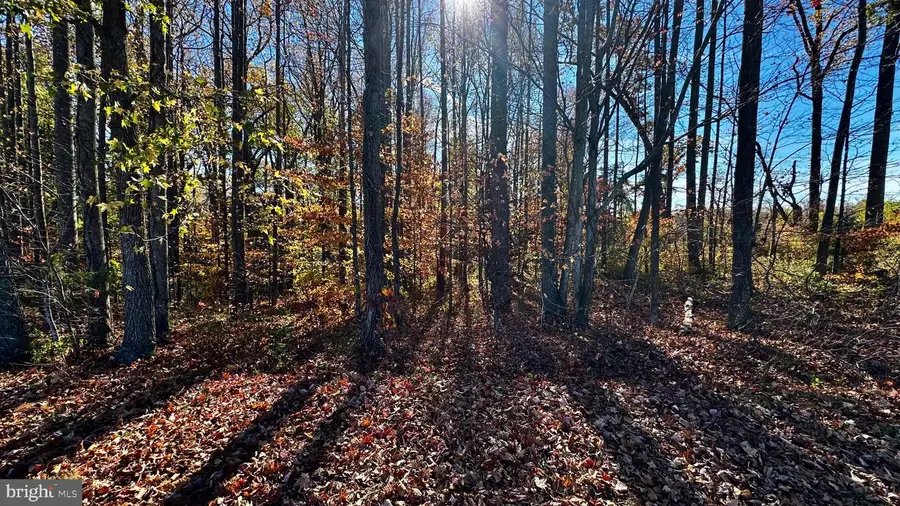 Zacata Rd, Montross, VA 22520 - Image #3