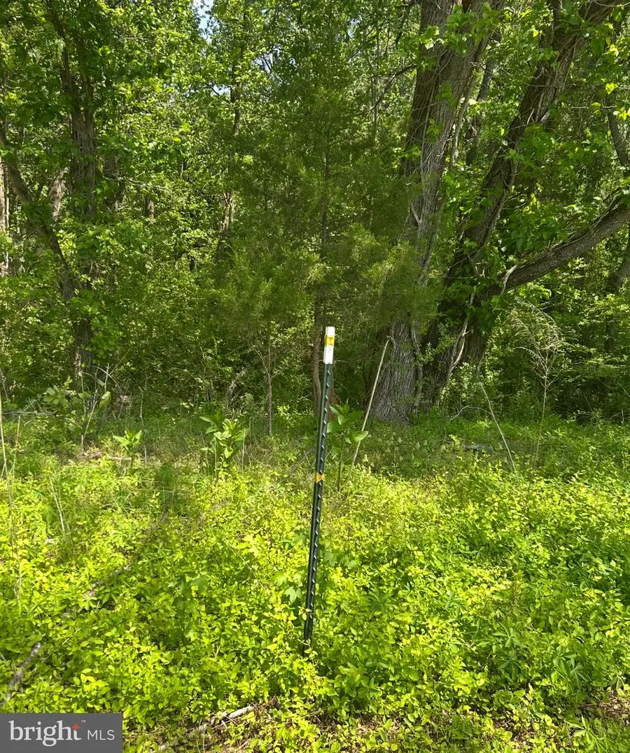 Lot 1a Kings Hwy, Montross, VA 22520 - Image #3