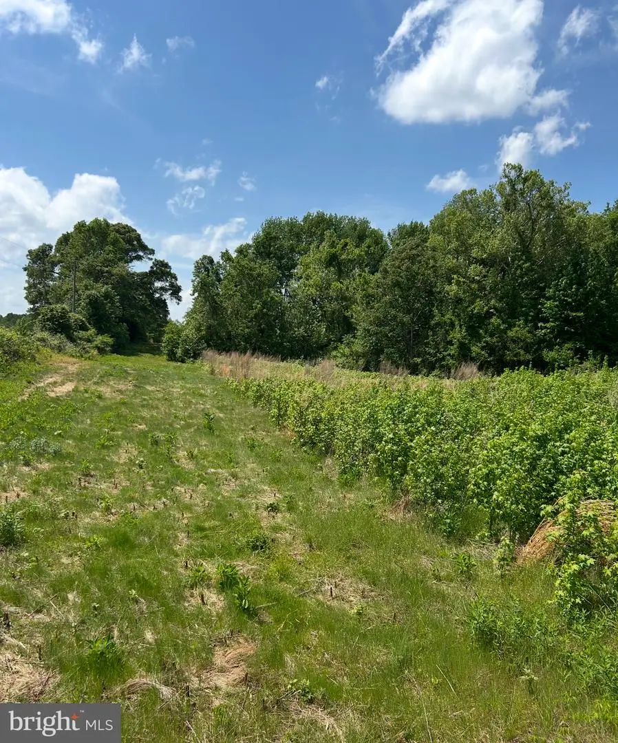 Lot 2b Kings Hwy, Montross, VA 22520 - Image #2