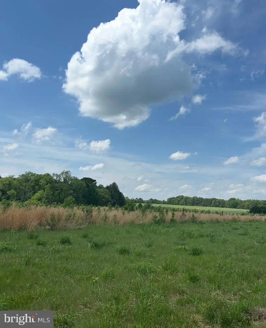 Lot 3c Kings Hwy, Montross, VA 22520 - Image #2