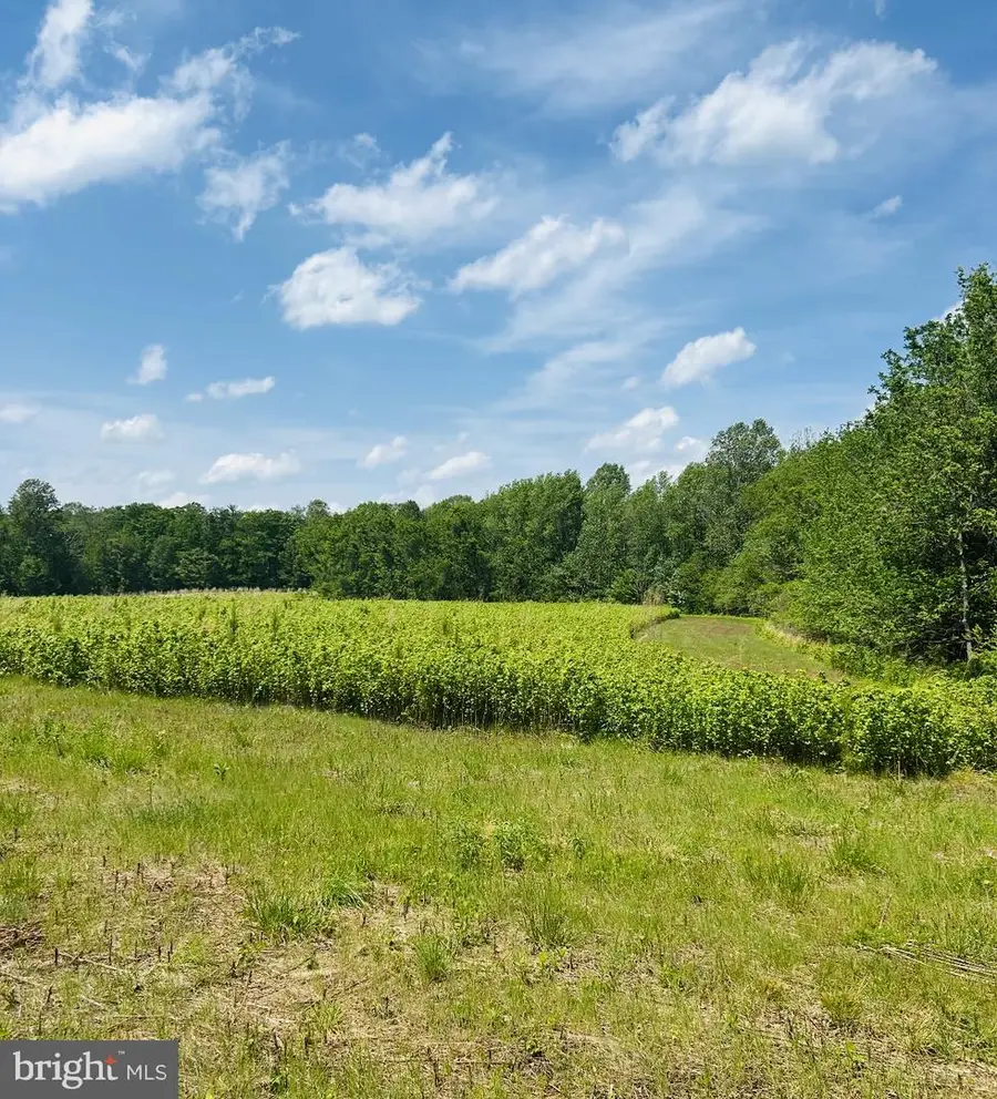 Lot 3c Kings Hwy, Montross, VA 22520 - Image #3