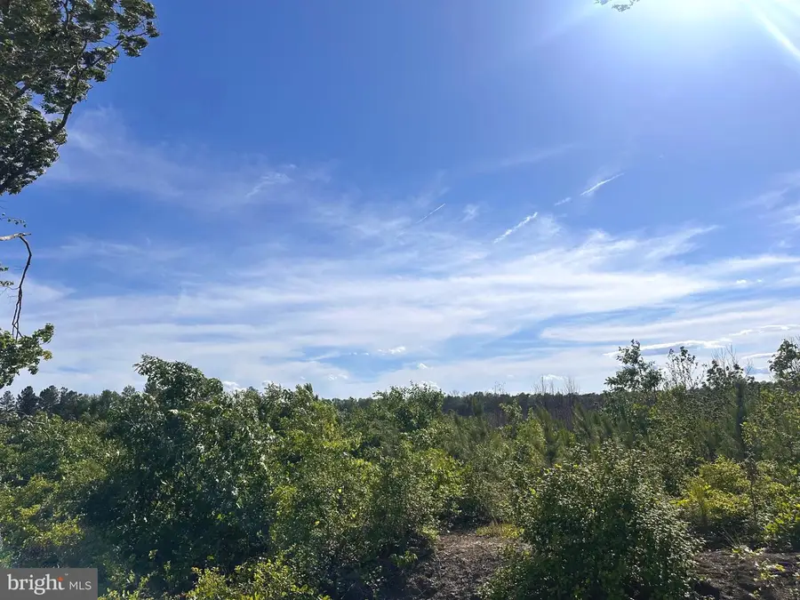 0 Mt Holly Rd, Montross, VA 22520 - Image #2