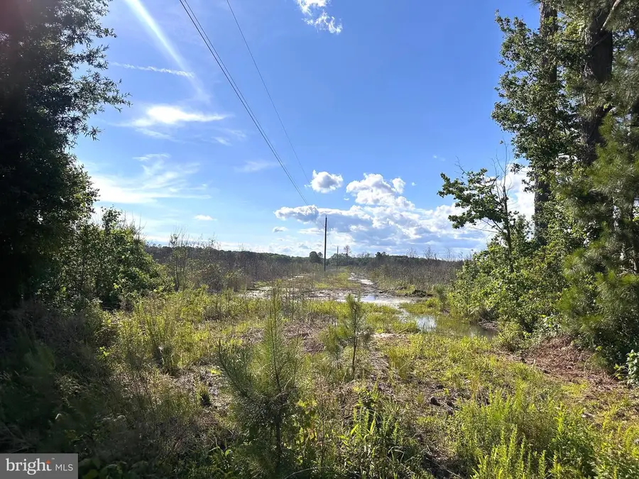 0 Mt Holly Rd, Montross, VA 22520 - Image #3