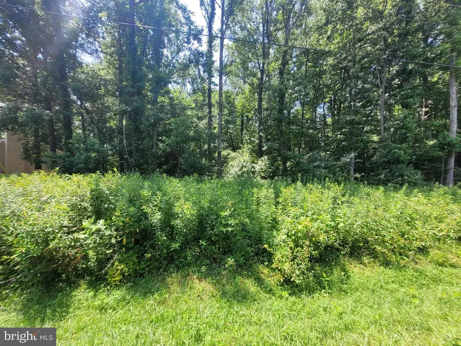 Lot 40 Grove Dr, Montross, VA 22520 - Image #2