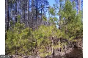 Lot #8 -14th Street Estates St, COLONIAL BEACH, VA 22443