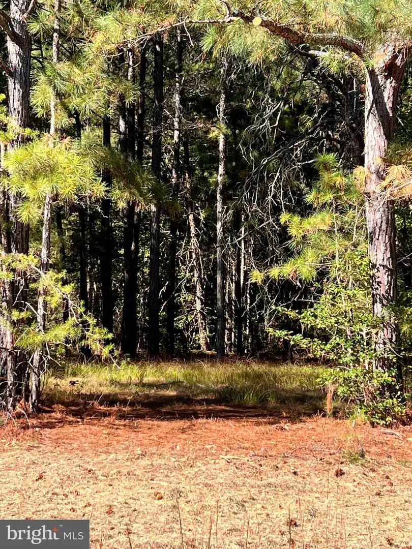 121 N Glebe Rd, Montross, VA 22520 - Image #2